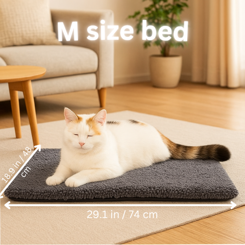 meow land bed