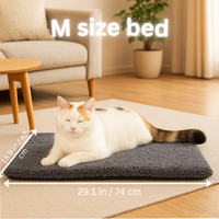 meow land bed