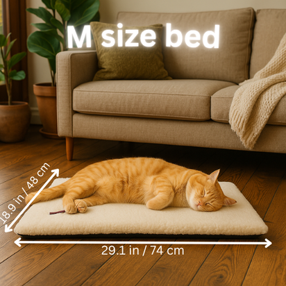 meow land bed